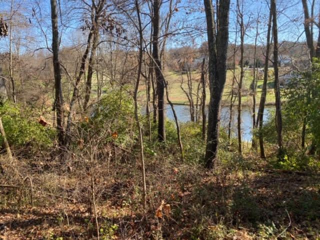 Photo #7: Lot 97 Springview Ridge