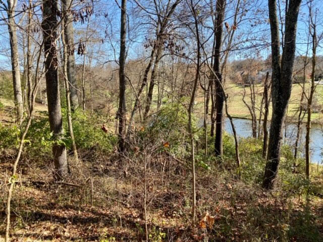 Photo #8: Lot 97 Springview Ridge