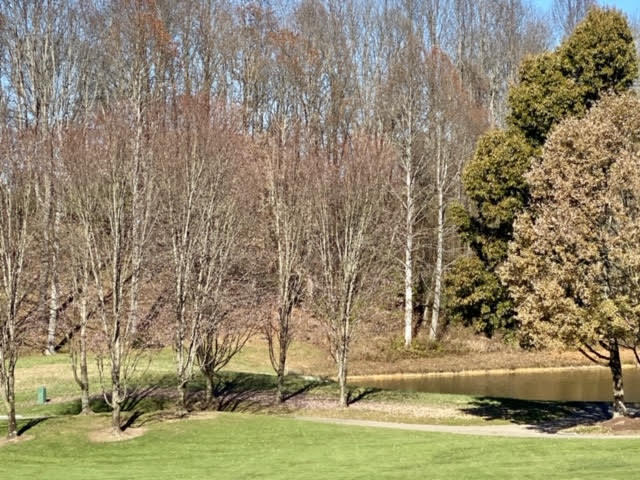 Photo #9: Lot 97 Springview Ridge