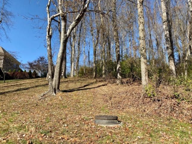 Photo #12: Lot 97 Springview Ridge