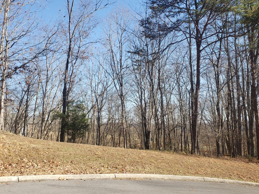 Photo #5: 8026 Mountain Ridge Drive
