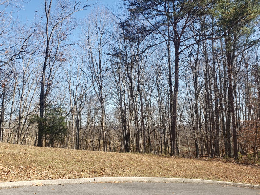 Photo #7: 8026 Mountain Ridge Drive