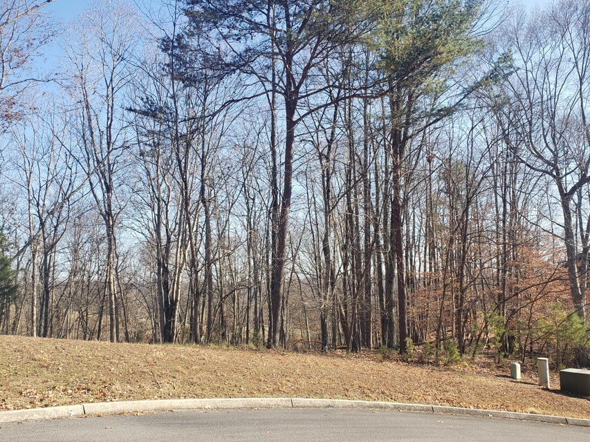 Photo #8: 8026 Mountain Ridge Drive