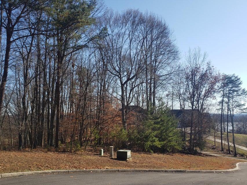 Photo #9: 8026 Mountain Ridge Drive