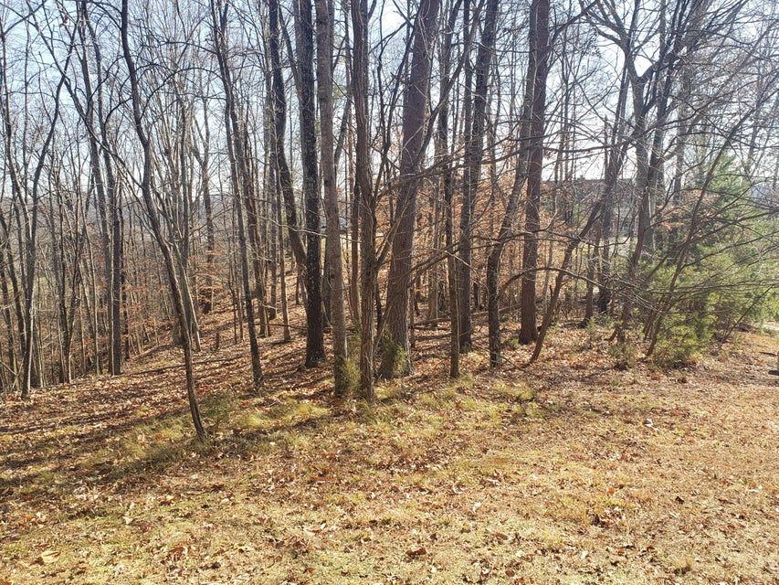 Photo #10: 8026 Mountain Ridge Drive