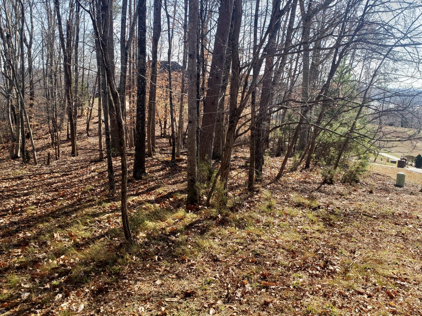 Photo #15: 8026 Mountain Ridge Drive