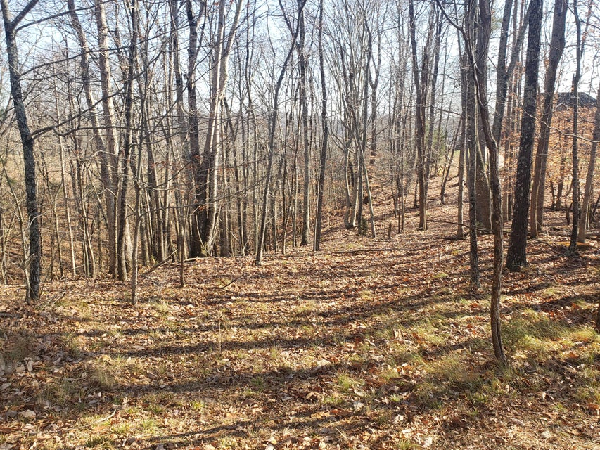 Photo #16: 8026 Mountain Ridge Drive