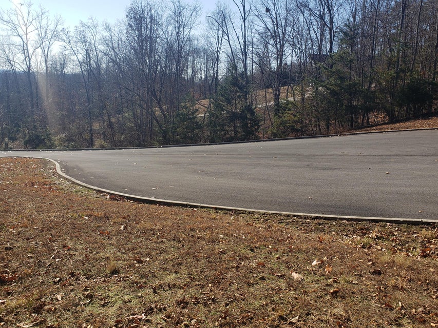 Photo #19: 8026 Mountain Ridge Drive