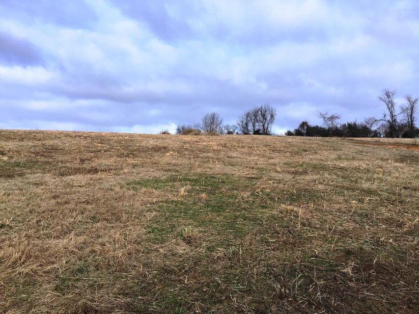 Photo #10: Lot 13 Milburnton Road