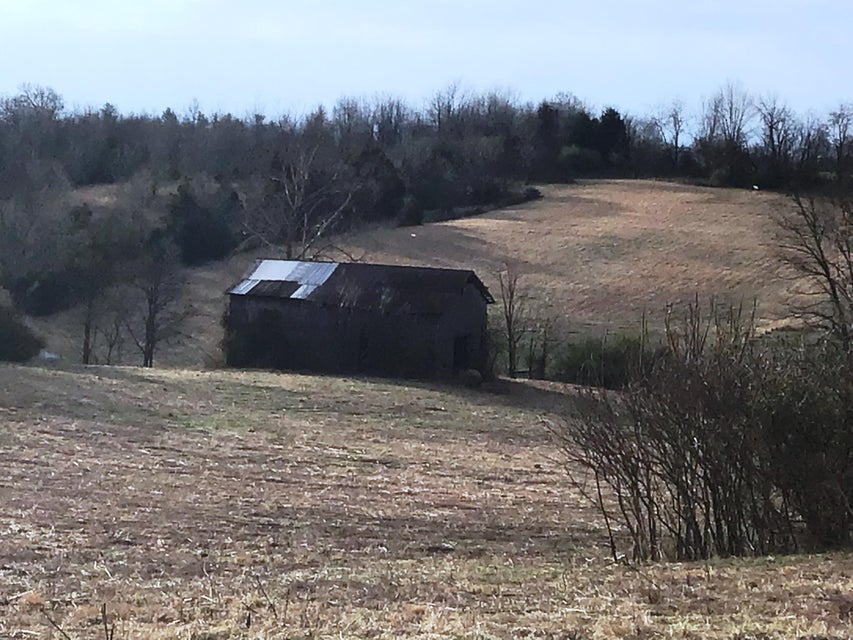Photo #12: Lot 13 Milburnton Road