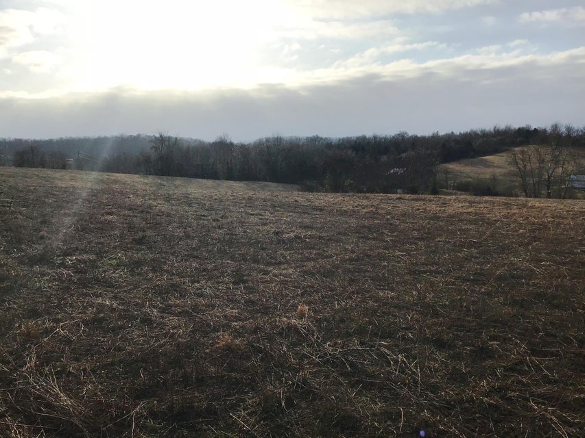 Photo #14: Lot 13 Milburnton Road