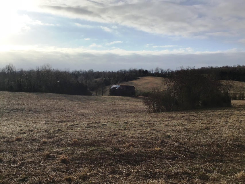 Photo #5: Lot 8 Milburnton Road