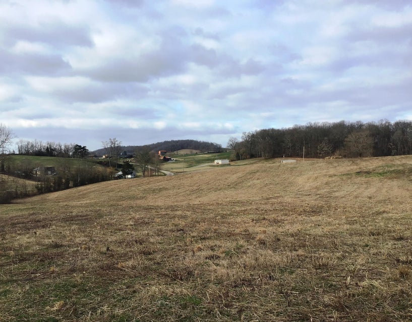 Photo #7: Lot 8 Milburnton Road