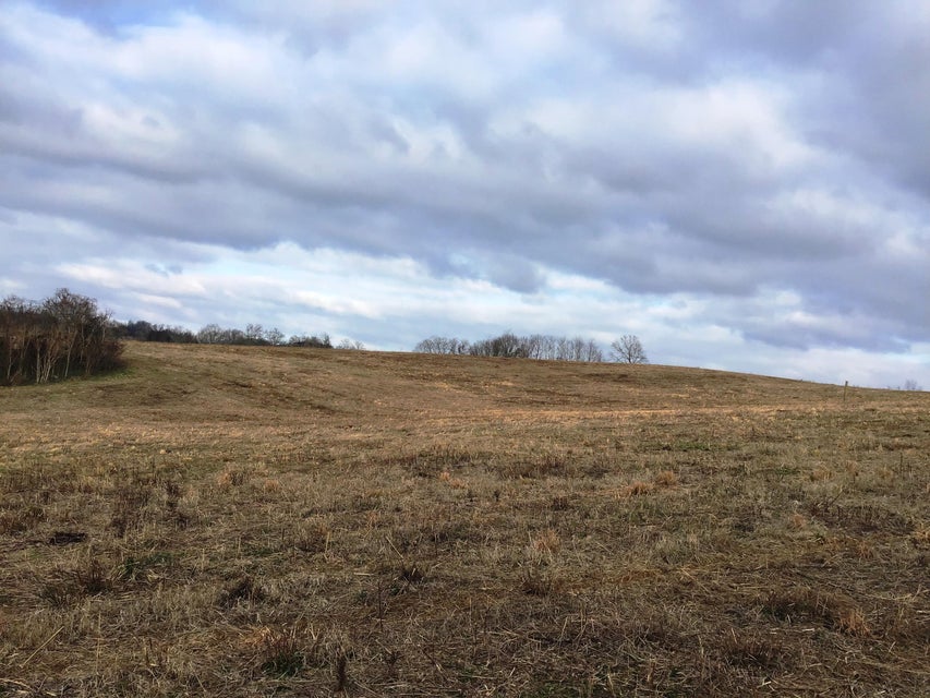 Photo #8: Lot 8 Milburnton Road