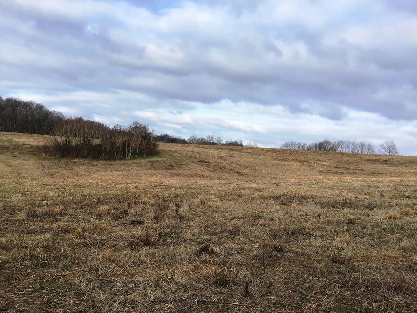 Photo #9: Lot 8 Milburnton Road