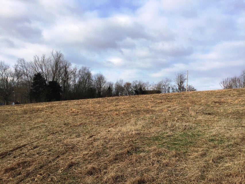 Photo #11: Lot 8 Milburnton Road