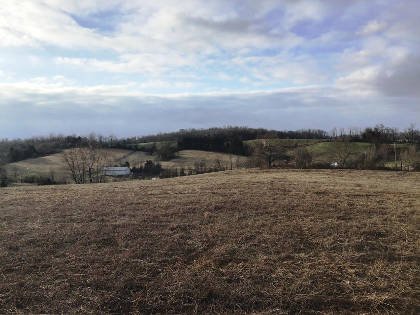 Photo #13: Lot 8 Milburnton Road