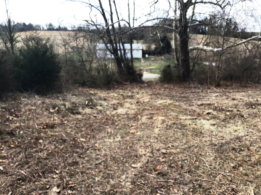 Photo #15: Lot 8 Milburnton Road