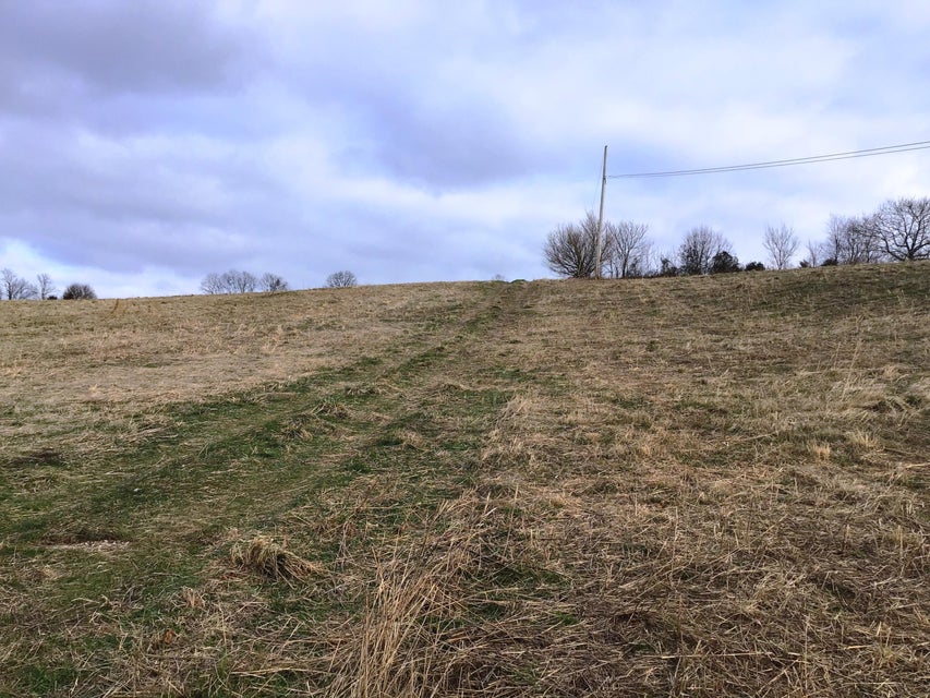 Photo #16: Lot 8 Milburnton Road
