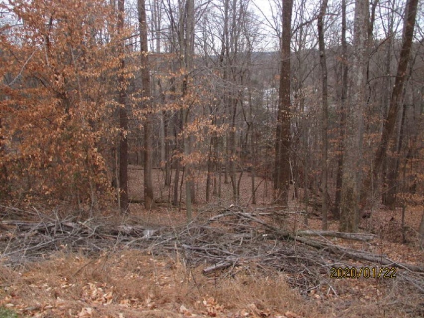 Photo #2: 000 Mt Andrew Pvt Drive