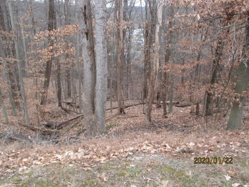 Photo #3: 000 Mt Andrew Pvt Drive