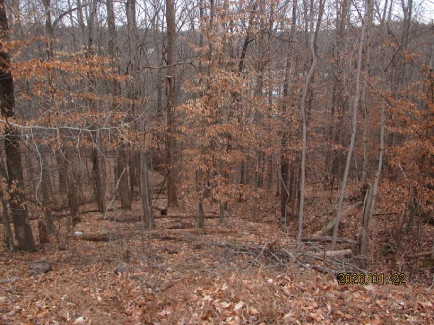 Photo #4: 000 Mt Andrew Pvt Drive
