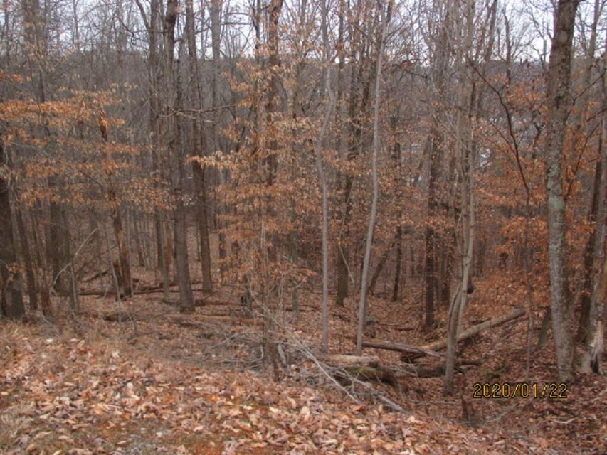 Photo #5: 000 Mt Andrew Pvt Drive