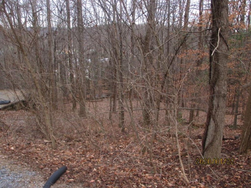 Photo #6: 000 Mt Andrew Pvt Drive
