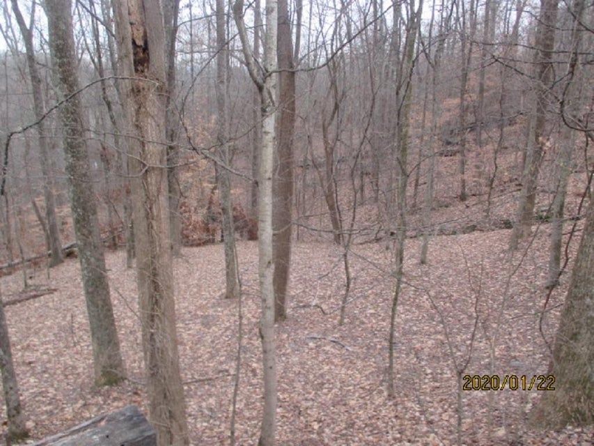 Photo #7: 000 Mt Andrew Pvt Drive