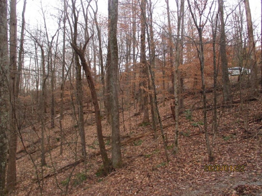 Photo #8: 000 Mt Andrew Pvt Drive