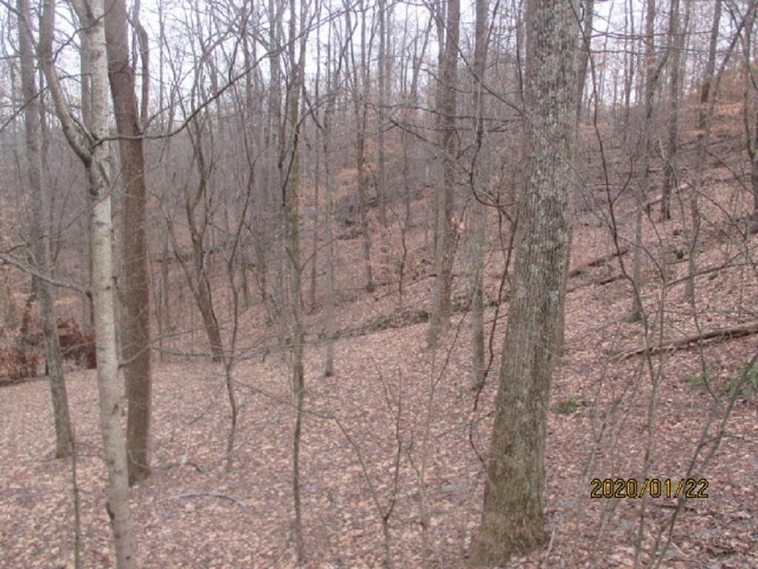 Photo #9: 000 Mt Andrew Pvt Drive