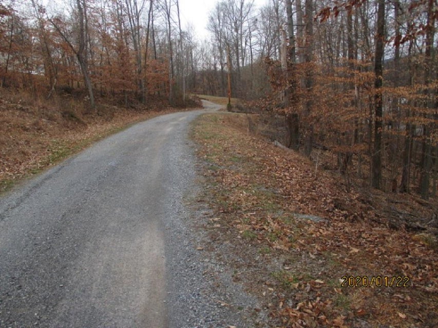 Photo #11: 000 Mt Andrew Pvt Drive