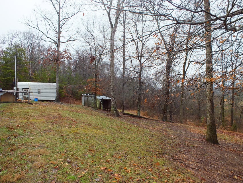 Photo #4: 1021 Lyonsdale Drive
