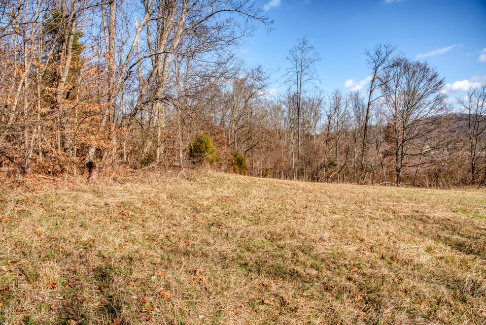 Photo #4: Tbd Jackson Road