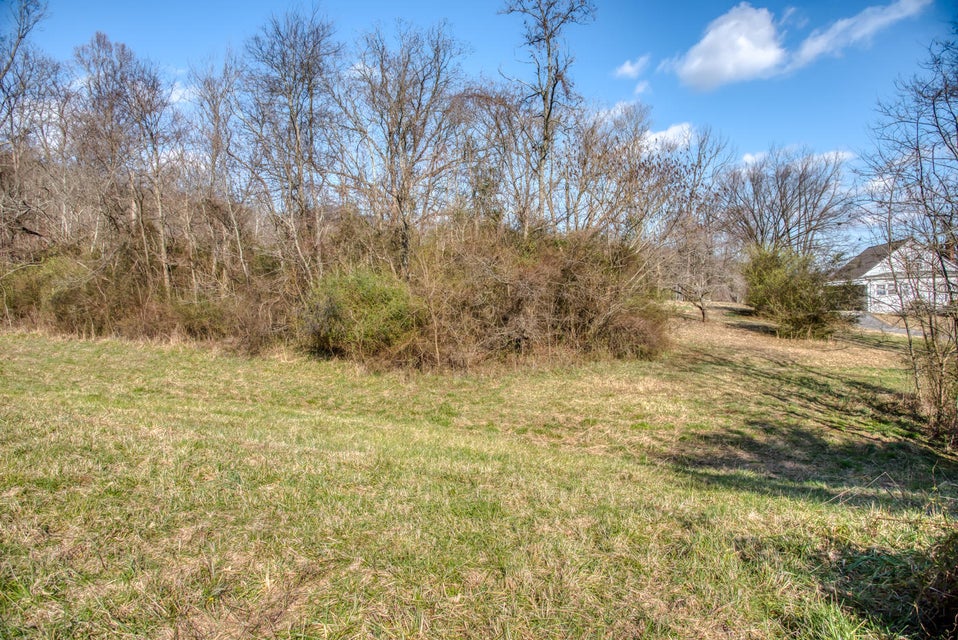 Photo #19: Tbd Jackson Road