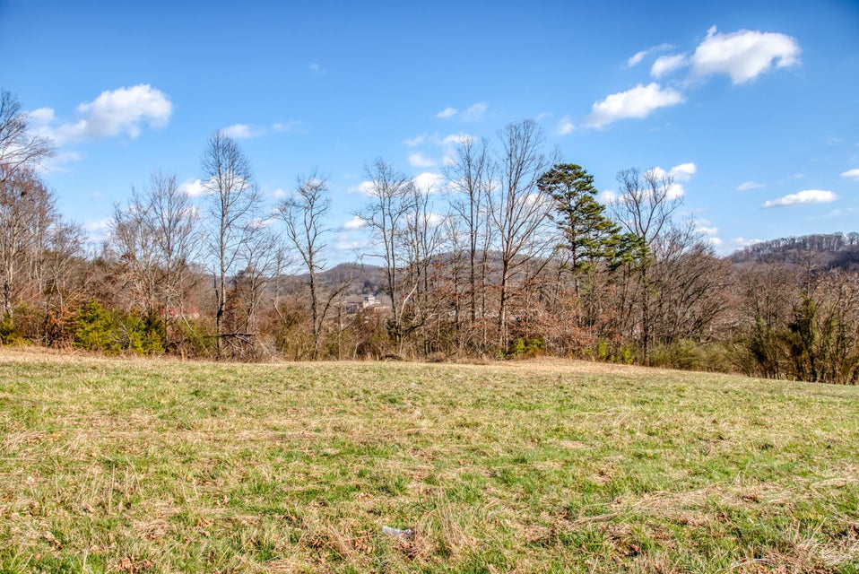 Photo #27: Tbd Jackson Road