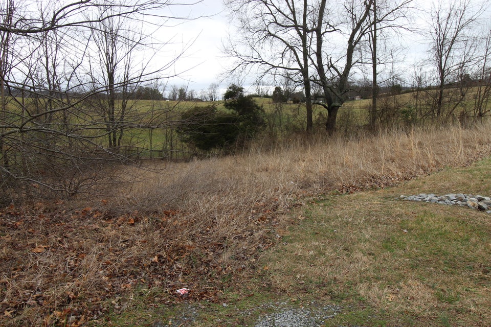 Photo #3: Tbd Fantasy Court