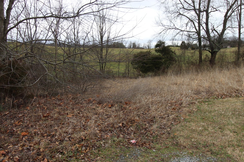 Photo #4: Tbd Fantasy Court