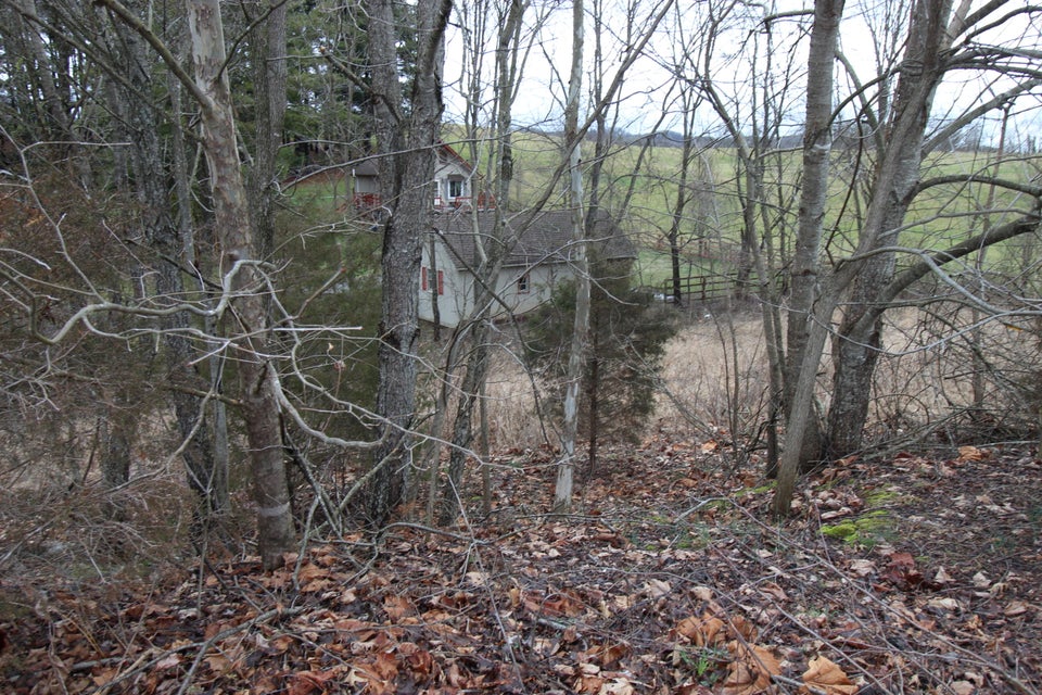 Photo #6: Tbd Fantasy Court