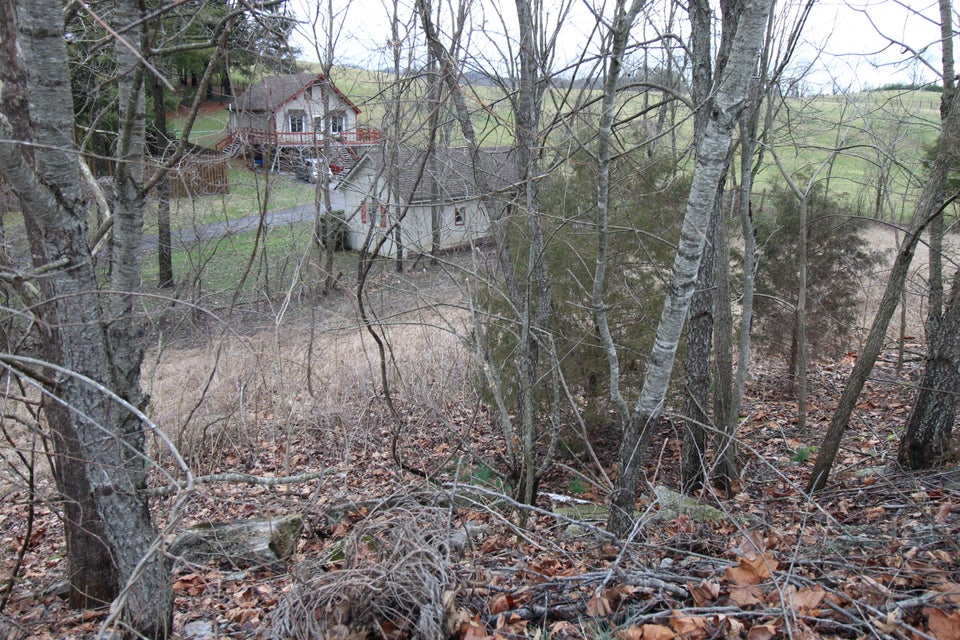 Photo #7: Tbd Fantasy Court