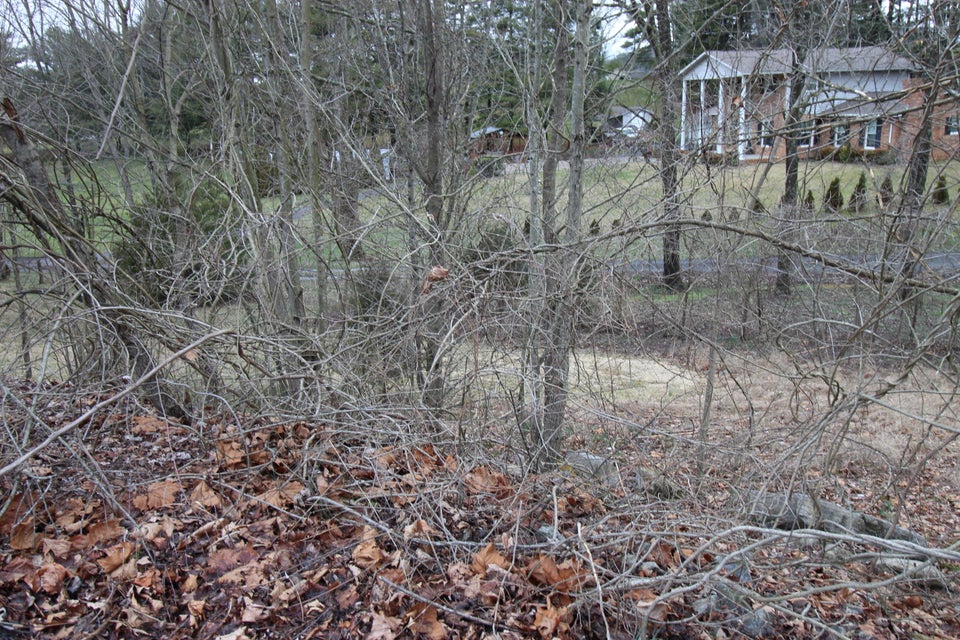 Photo #8: Tbd Fantasy Court