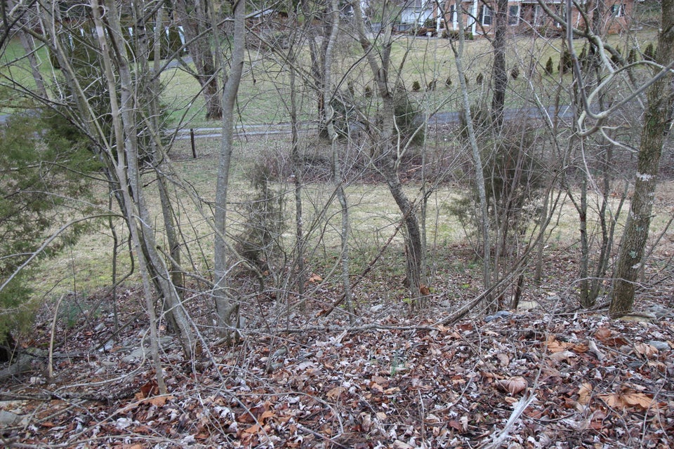 Photo #9: Tbd Fantasy Court