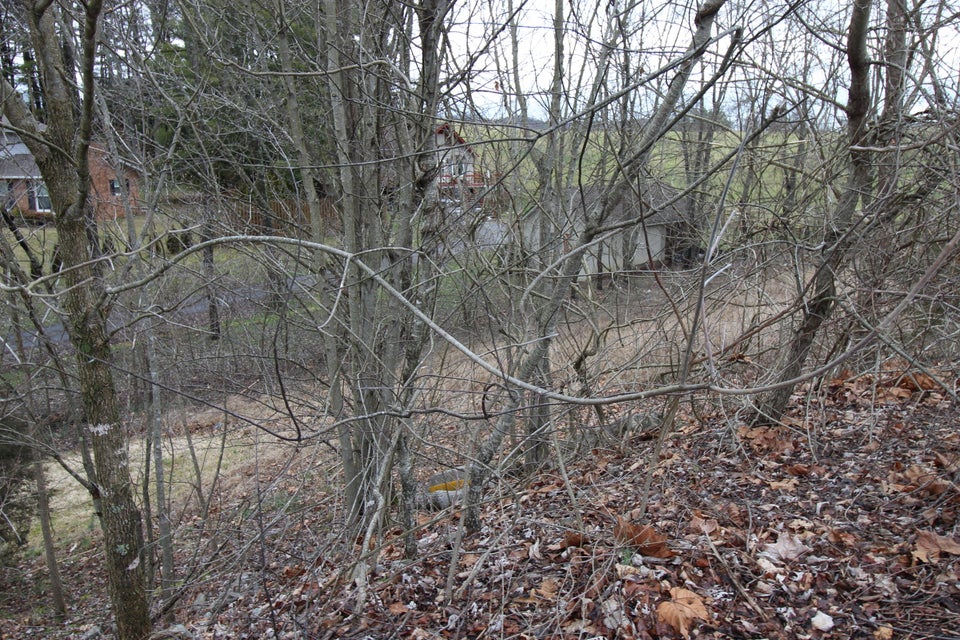 Photo #10: Tbd Fantasy Court