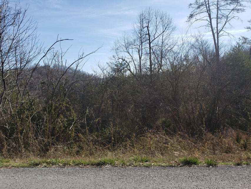 Photo #2: Lot 868 Clearwater Road