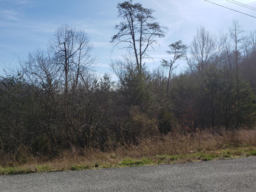 Photo #3: Lot 868 Clearwater Road