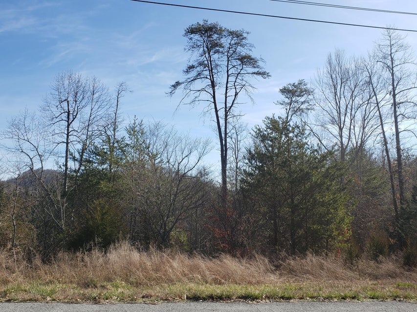 Photo #6: Lot 868 Clearwater Road