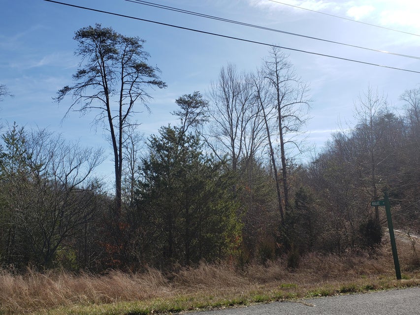 Photo #8: Lot 868 Clearwater Road