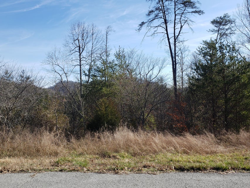 Photo #11: Lot 868 Clearwater Road