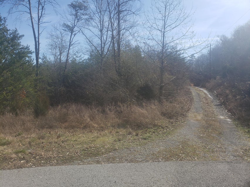 Photo #12: Lot 868 Clearwater Road