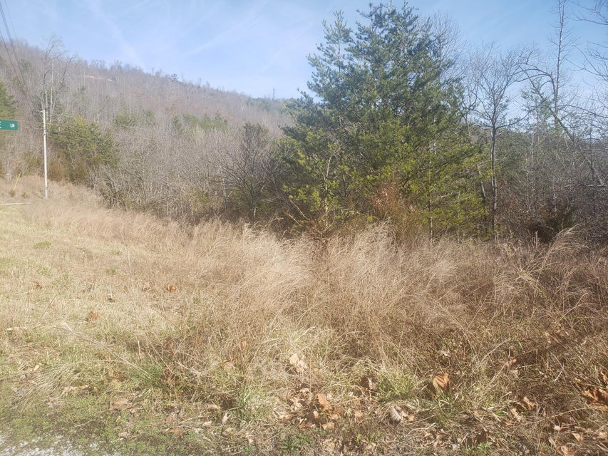 Photo #14: Lot 868 Clearwater Road